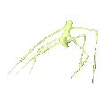 Emoji 2D_stickbug