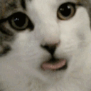 Emoji catlick