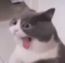Emoji LHwtf