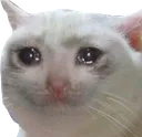 Emoji 1685a79a23f843079487a1a5cb59302f