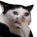 Emoji 3586cattocryomg