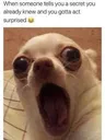 Emoji 2e7596c24e6a8f29b7e3234e2d1b8f30