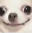 Emoji 2864curseddog
