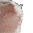 Emoji dansecat2