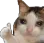 Emoji yes