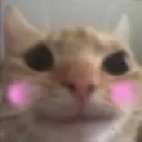 Emoji happycat
