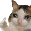 Emoji pleure_ok