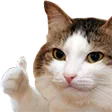 Emoji okmec
