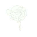 Emoji rose_white