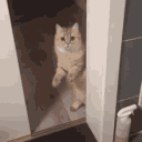 Emoji emote