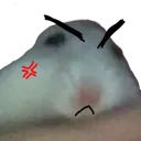 Emoji noopycolere