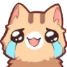 Emoji cat_cry