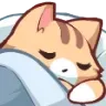 Emoji cat_sleep
