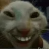 Emoji rat
