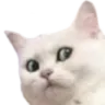 Emoji CRDCatOkWTF
