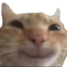 Emoji CRDCatSmile