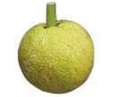 Emoji friyapen