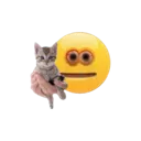 Emoji emoji_creepy_cat