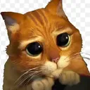 Emoji emoji_55