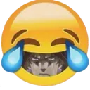 Emoji emoji_37