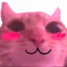 Emoji chatmimi