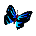 Emoji papillon