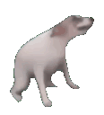 Emoji 3_dogdance