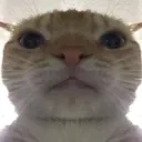 Emoji emoji_37