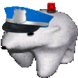 Emoji polar