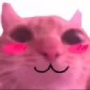 Emoji cat_uwu