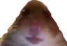 Emoji Hamster