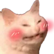 Emoji cat_blush