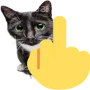 Emoji 4287middlefingercat