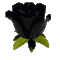 Emoji roseblack