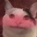 Emoji belublush
