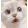Emoji ChatSurpris