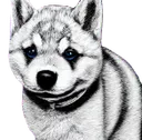 Emoji SECT_puppy