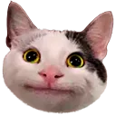 Emoji weirdcat