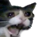 Emoji screaming_cat