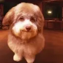 Emoji Thechien