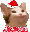 Emoji 9007popcatchristmas