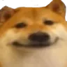 Emoji doge_face