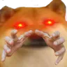 Emoji doge_hands