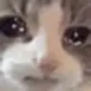 Emoji kazyxou