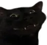 Emoji CRDCatSmilePain