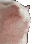 Emoji VIBECAT