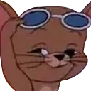 Emoji sunglassesjerry