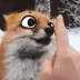 Emoji CuteFoxBoop