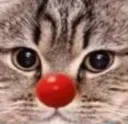 Emoji pouete