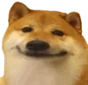 Emoji chien